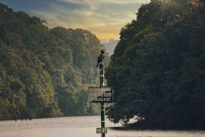 Periyar Tiger Reserve, Kerala