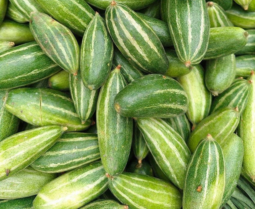 Pointed Gourd (Parwal)