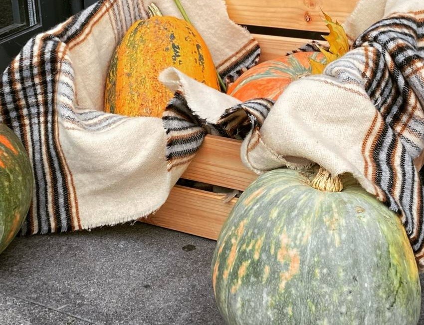 Pumpkin (Kaddu)