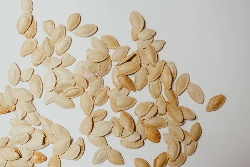 Pumpkin Seeds