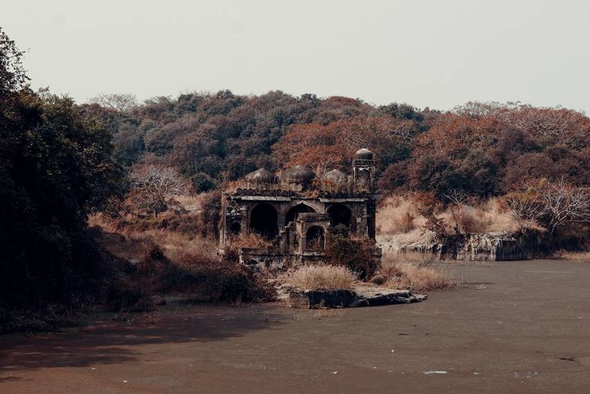 Ranthambore National Park, Rajasthan