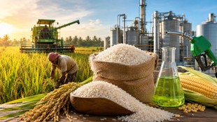 Rice to ethanol policy