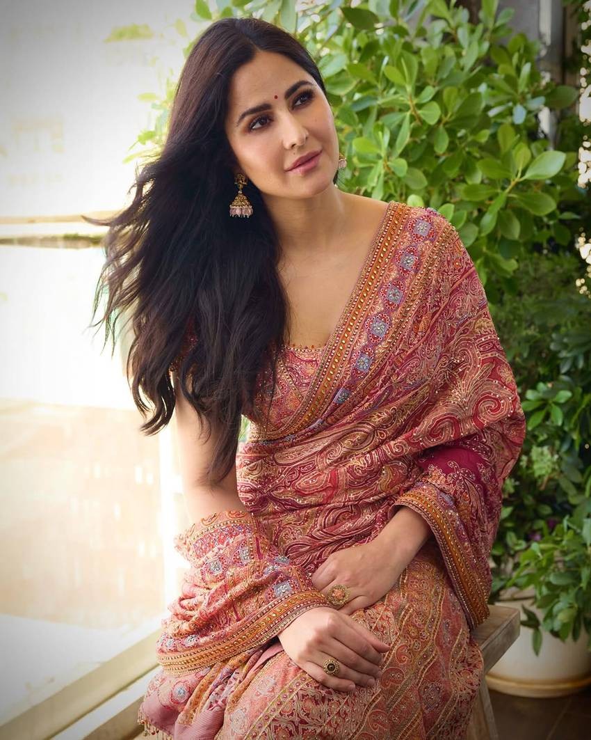 Rust-Pink Saree