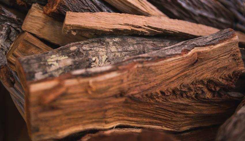 sandalwood harvest rules