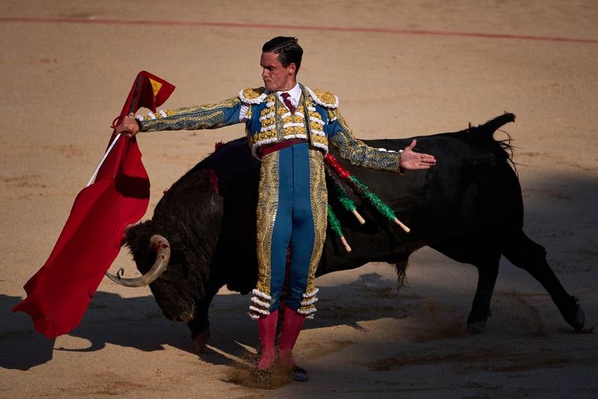 Why the San Fermin Bull Run Remains World-Famous