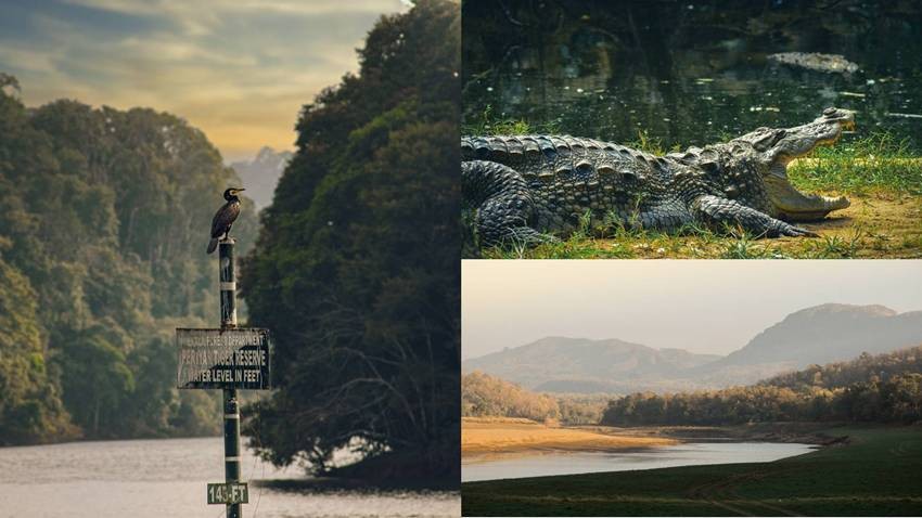 These Wildlife Parks Look Their Best During The Monsoon