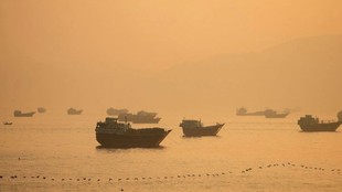 strait of hormuz| usa iran tension| indians death