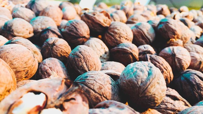 Walnuts