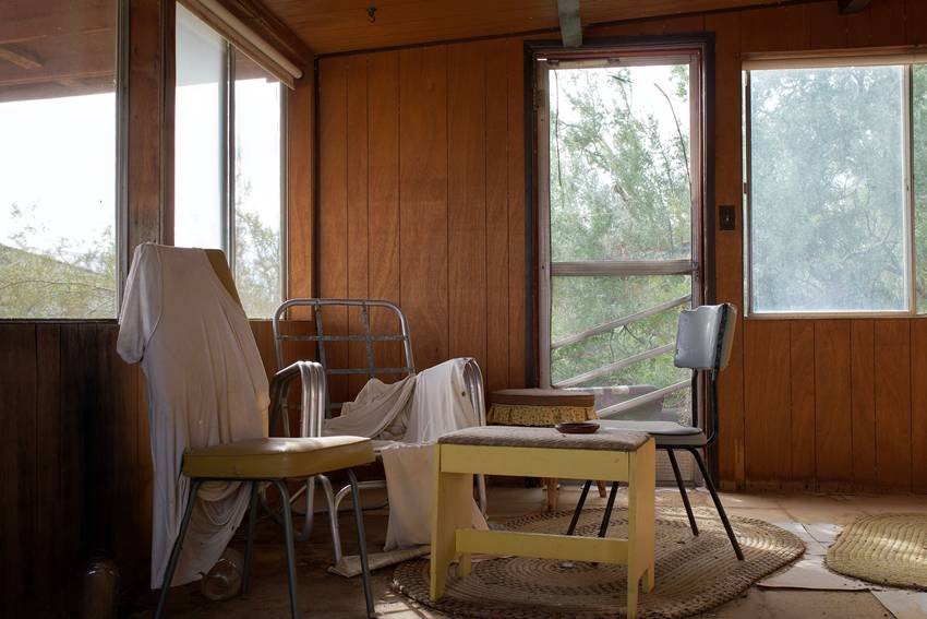 wooden furniture from termites