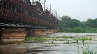 Yamuna River, Hathnikund Barrage, Delhi Yamuna, Water release, SANDRP report