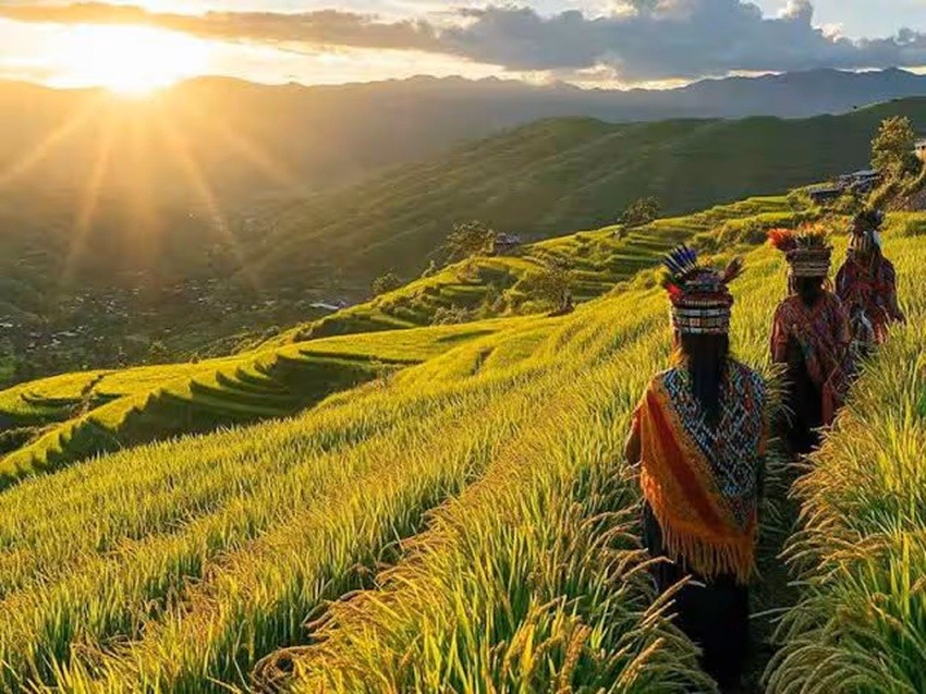 Ziro Valley, Arunachal Pradesh