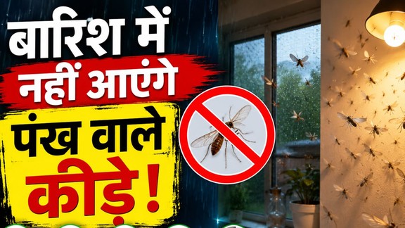 barsati kide bhagane ke upay | barish me udne wale kide | barish-me-pankh-wale-keede-se-bachne-ke-tips,