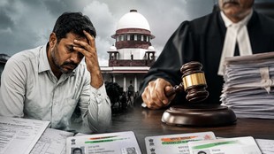 court, citizen