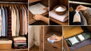 how to stop clothes smelling musty in wardrobe | monsoon tips | How to stop musty smell in cupboards