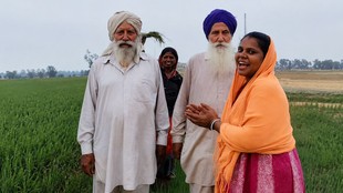 farmer, farmer reel