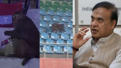 ‘बंदर मैच देखने आ रहे तो इसमें दिक्कत क्या’: हिमंता बिस्वा सरमा ने इंडिया ओपन बैडमिंटन में अव्यवस्थाओं पर दिया अटपटा बयान