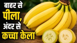 बाहर से पीला, अंदर से कच्चा केला पहचानने की ट्रिक, जानिए कौन-से तरीके सच में काम करते हैं और कौन-से सिर्फ मिथक