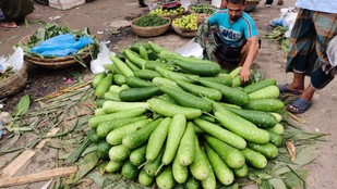 lauki buying tips | How to buy good lauki | How to identify bad bottle gourd