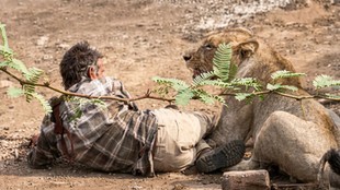 lion, farmer