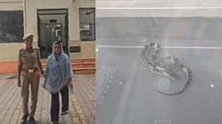 पति को सांप से कटवाकर मार डाला, प्रेमी और पत्नी ने मिलकर रची थी साजिश, पुलिस ने ऐसे किया मामले का खुलासा