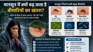 Monsoon Diseases, Dengue, Malaria, Chikungunya, Typhoid, Cholera, Hepatitis A, Waterborne Diseases, Airborne Diseases, Foodborne Diseases, Monsoon Health Tips, Monsoon Diseases Prevention Tips,
