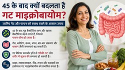 Ageing & Gut Health: 45 पार करते ही पेट में कम होने लगते हैं ‘गुड बैक्टीरिया; डॉक्टरों से समझिए बढ़ती उम्र में पाचन दुरुस्त रखने का फॉर्मूला