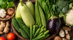 Monsoon Diet Tips: बारिश के मौसम में इन 5 सब्जियों में बढ़ जाते हैं बैक्टीरिया और कीड़े, बरसात के 4 महीनों के लिए डॉक्टर ने बताएं हेल्दी ऑप्शन