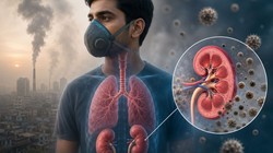 लंग्स ही नहीं, किडनी के लिए भी घातक है दूषित हवा! 10 साल की इस बड़ी रिसर्च में डॉक्टरों ने किया हैरान करने वाला खुलासा