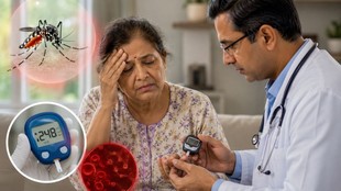 Type 2 diabetes, dengue, severe dengue, dengue complications, high blood sugar, diabetes and dengue