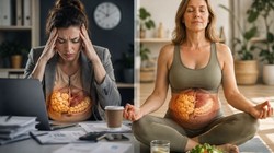 35 की उम्र के बाद बढ़ सकता है Stress Belly और Hormonal Belly का खतरा, पेट की इस चर्बी में क्या है अंतर, डॉक्टर से जानिए