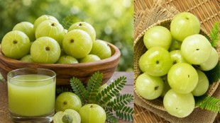 Sawan me amla khane ke fayde, सावन में आंवला खाने के फायदे, Sawan me amla khana chahiye ya nahi, सावन में आंवला खाना चाहिए या नहीं, Amla benefits in Sawan, Hansa Yogendra amla tips, हंसा योगेंद्र आयुर्वेद टिप्स, Sawan diet tips Ayurveda