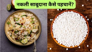Nakli sabudana kaise pahchane | Sago pearls