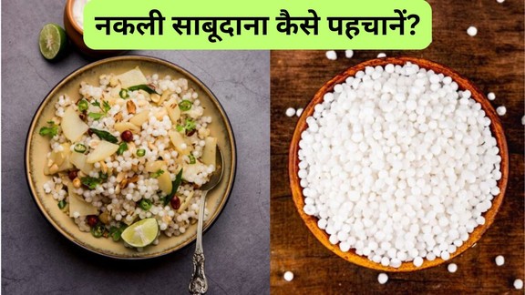 Nakli sabudana kaise pahchane | Sago pearls