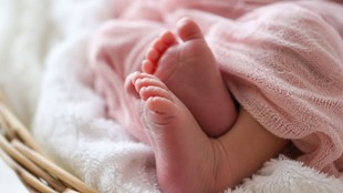 kerala| birth rate| death rate