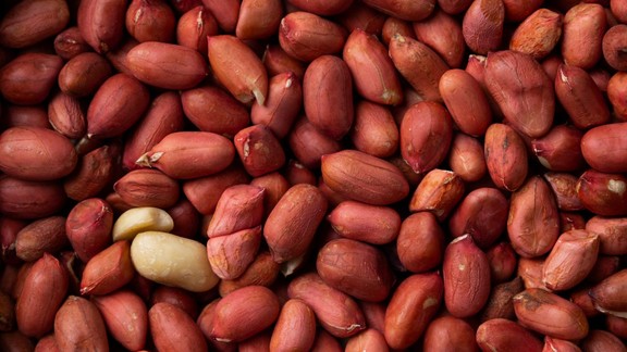 mungfali sil jaye to kya kare | rainy-season-sealed-peanuts-reuse-tips