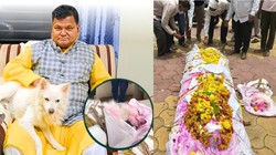 मालिक का शव देख रात भर बेचैन रहा पालतू डॉगी, अर्थी निकली तो रास्ते में ही तोड़ा दम, 15 सालों तक साये की तरह रहा साथ