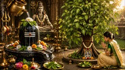 Sawan 2026: बेलपत्र के पेड़ के नीचे करें यह शुभ कार्य, जानें शिव पुराण के अनुसार धार्मिक मान्यता
