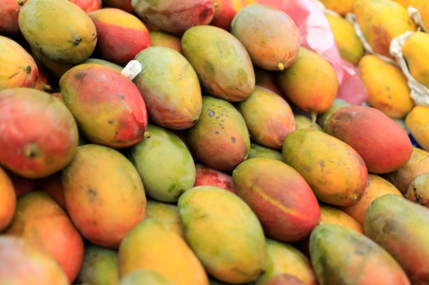 ​Kesar Mango
