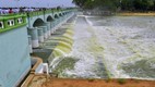 Cauvery Water Dispute, Supreme Court, Karnataka, Tamil Nadu, CWMA