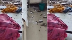 ग्वालियर के अस्पताल में बच्चे के बेड पर गिरी छत की प्लास्टर, मां की वजह से बची 2 महीने बच्ची; 16 बच्चों को निकाला गया सुरक्षित