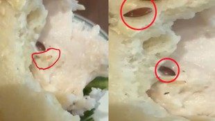 Gurugram sandwich