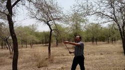 थार का कल्पवृक्ष संकट में: जिस खेजड़ी ने रेगिस्तान को जीवन दिया, अब उसी के अस्तित्व पर सबसे बड़ा खतरा | विचार