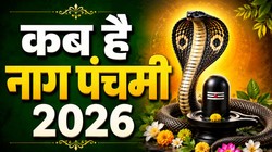 16 या 17 अगस्त कब है नाग पंचमी, जानिए तिथि, पूजा का शुभ मुहूर्त और धार्मिक महत्व