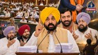 Punjab News today, punjab news today in hindi, punjab latest news