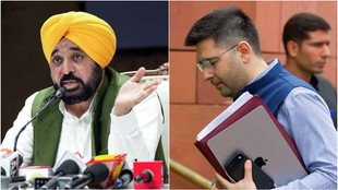 Punjab Politics, Punjab News, Bhagwant Maan, Raghav Chadha, Jasmine Shah