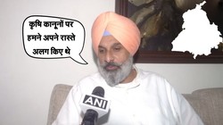 पंजाब चुनाव से पहले गठबंधन करेंगे बीजेपी और अकाली दल? बिक्रम सिंह मजीठिया बोले- लोगों की मांग है…