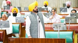पंजाब और हरियाणा हाईकोर्ट ने फार्मेसी ऑफिसर भर्ती पर लगाई रोक, बीजेपी ने आप पर साधा निशाना
