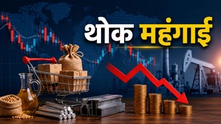 WPI Inflation, WPI, Inflation, WPI Inflation news