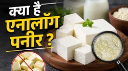 क्या है एनालॉग पनीर? योगी सरकार ने इन उत्पादों की बिक्री पर लगाई रोक; इस तरह करें असली-नकली की पहचान