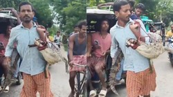बिहार के खेत में निकला मगरमच्छ, कंधे पर लादकर पैदल पुलिस स्टेशन पहुंच गया किसान- पूछा इसका का करना है